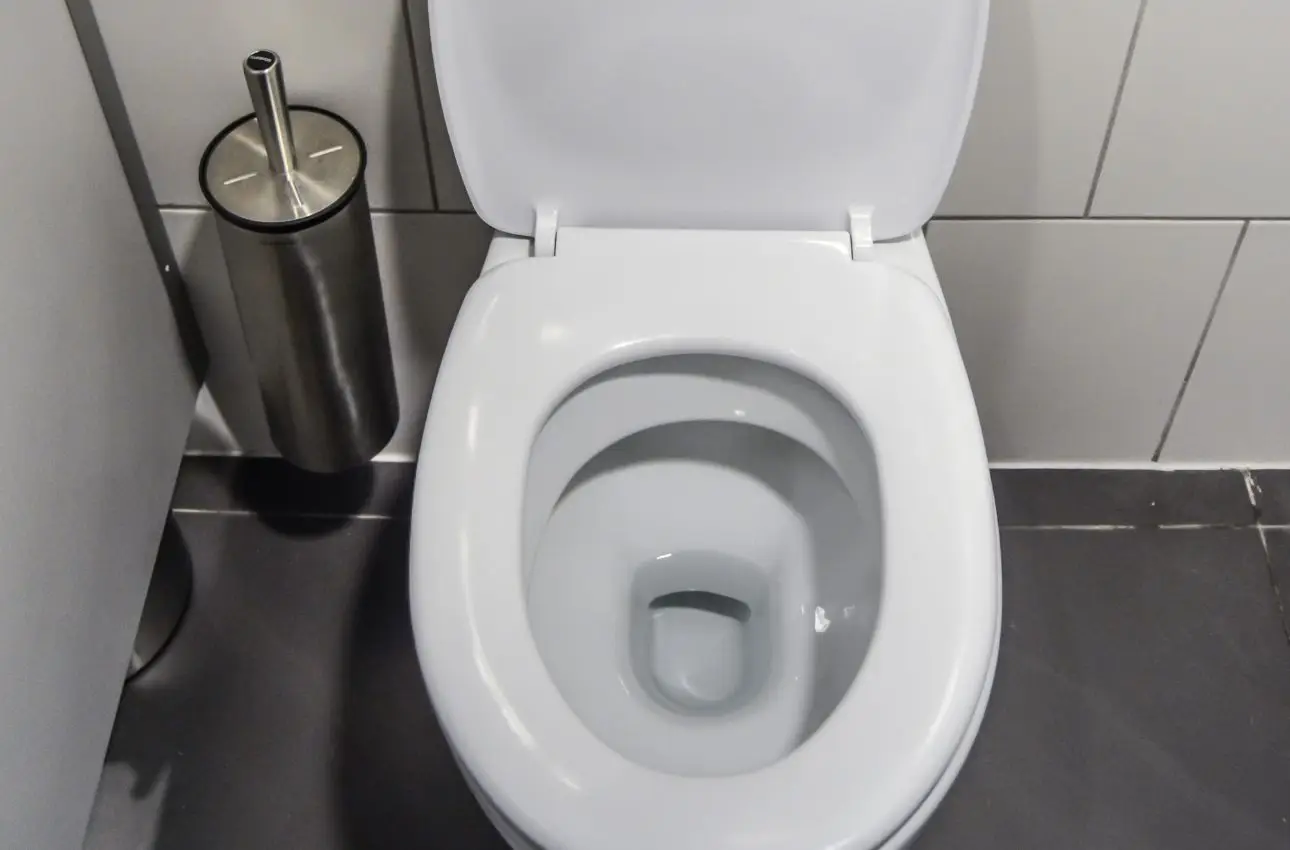 Articoli da leggere